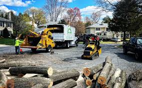 Leaf Removal in Mount Pleasant, NC